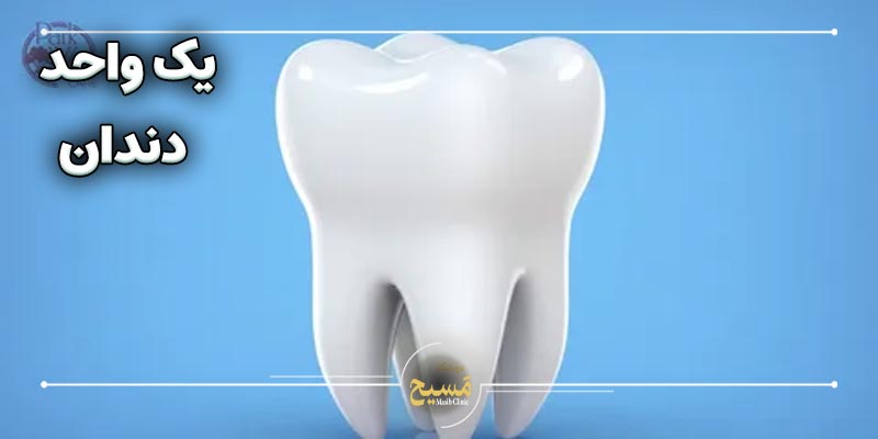 انسان چند دندان دارد 1 هر واحد دندان یعنی چه؟