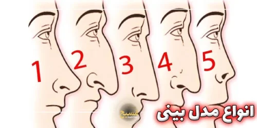 انواع مدل بینی برای عمل