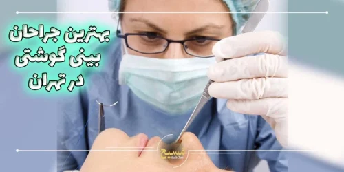بهترین جراحان بینی گوشتی در تهران