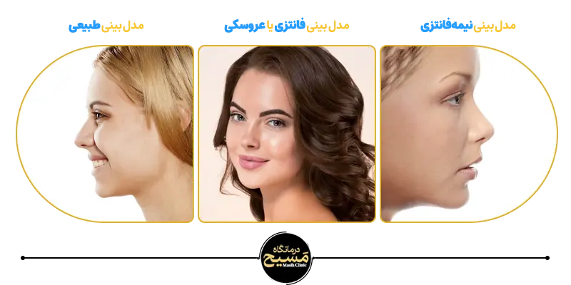 فرق بینی عروسکی با فانتزی 1 تفاوت بینی عروسکی با طبیعی و نیمه فانتزی